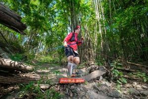 BIB: 
                            <button type="button" onclick="openModal(19393504)" class="btn btn-primary btn-sm float-right btn-popup" data-toggle="modal" data-target=".modal-high-quality">
                        <i class="fas fa-shopping-cart"></i> Add to Cart
                    </button>
                                            <button type="button" onclick="isThisMe(19393504, true)" class="btn btn-success btn-sm float-right btn-popup btn-isme hidden" data-toggle="tooltip" data-placement="bottom" title="นี่คือรูปของคุณใช่ไหม คลิกที่นี่เพื่อเอาเข้าอัลบั้ม">
                        <i class="fas fa-plus"></i> Add to album
                    </button>
                    <button type="button" onclick="isThisMe(19393504, false)" class="btn btn-warning btn-sm float-right btn-popup btn-isnotme hidden">
                        <i class="fas fa-ban"></i> Remove from album
                    </button>